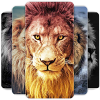 Lion Wallpapers HD
