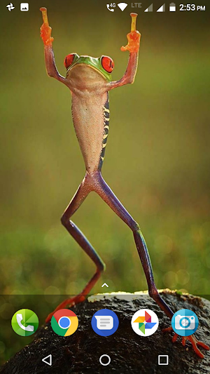 Frog Wallpaper Screenshot 3