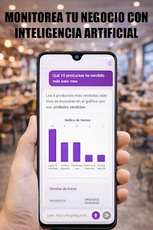 Solara IA Screenshot 2