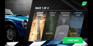 Car Driver Racing Game Screenshot 2