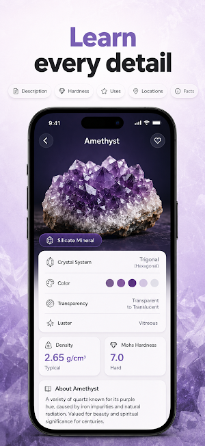 Rock Identifier Screenshot 1