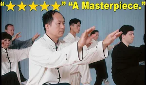Tai Chi 108 Yang Form Screenshot 2