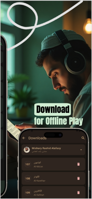 Mishary Alafasy Audio Quran Screenshot 3