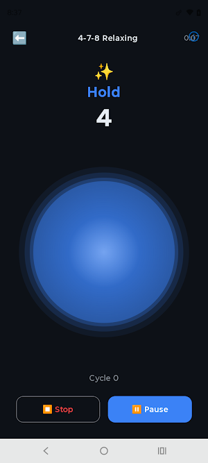 Breath Flow Screenshot 1