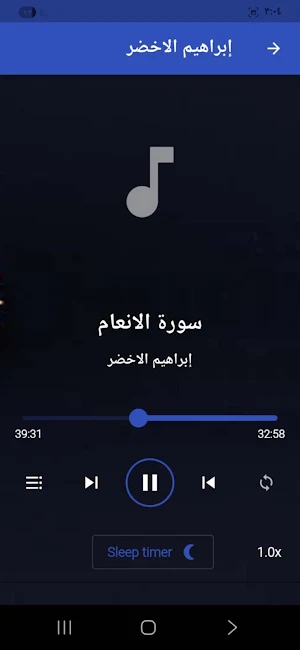 القران إبراهيم الاخضر بدون نت Screenshot 3