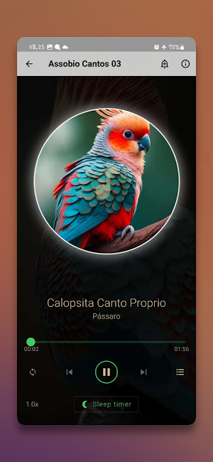 Cockatiel Assobio Cantos Screenshot 2