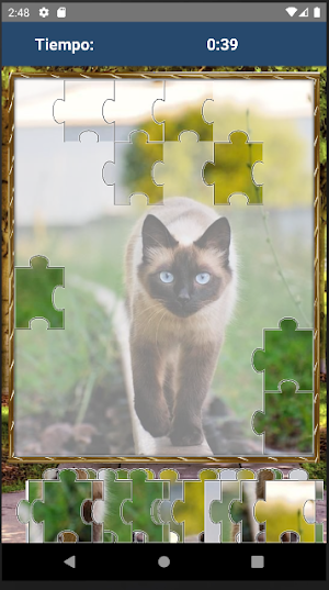 Rompecabezas de Gatos Screenshot 3