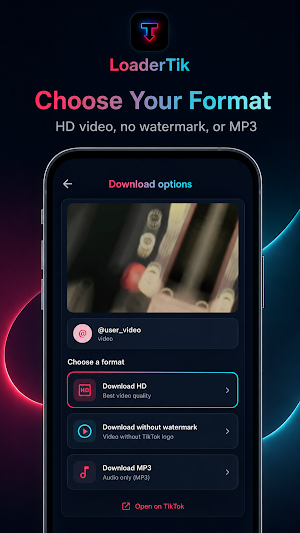 LoaderTik Screenshot 0