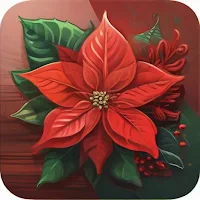 Poinsettia Plant Care