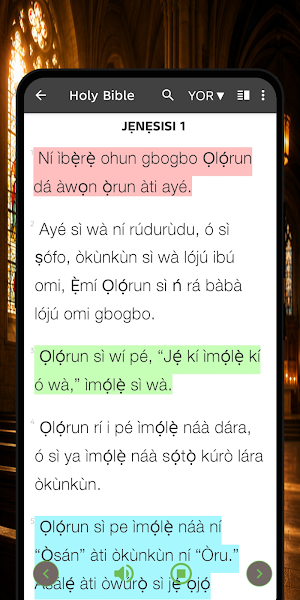 Yoruba Bible Offline Screenshot 1