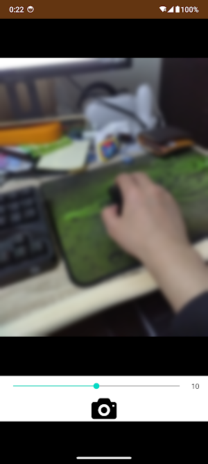 Blur Camera Screenshot 2