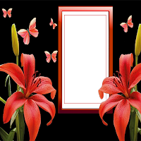 Luxury Wedding Photo Frames