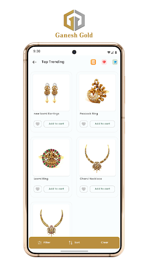 Ganesh Nellore Screenshot 1