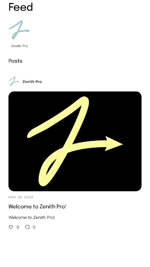 Zenith Pro Screenshot 2