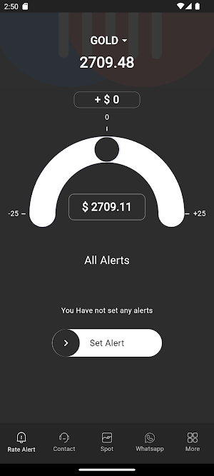 DETALTORG Screenshot 1