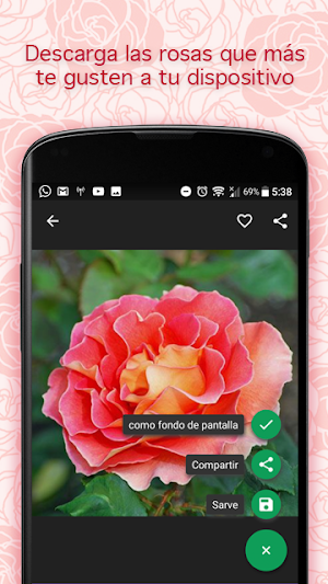 Pictures of Roses Screenshot 1