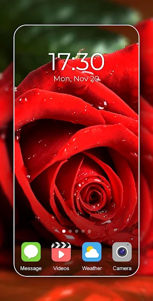 Rose Wallpaper 2024 Screenshot 1