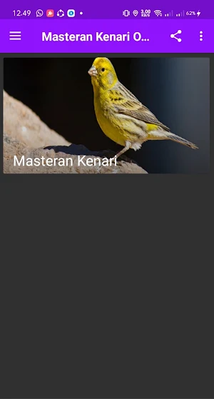 Masteran Kenari Offline Screenshot 0