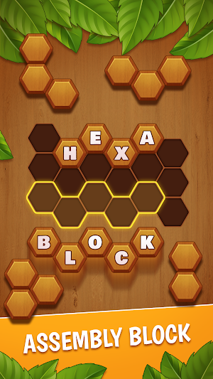 Block Hexa Classic Screenshot 0