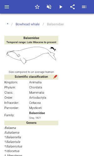 Cetaceans Screenshot 2