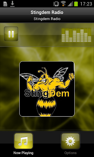 Stingdem Radio Screenshot 0