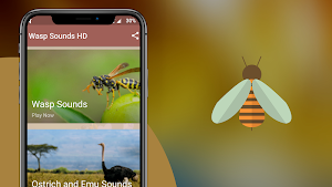 Wasp Sounds -  Insects Buzzing Sound Screenshot 1