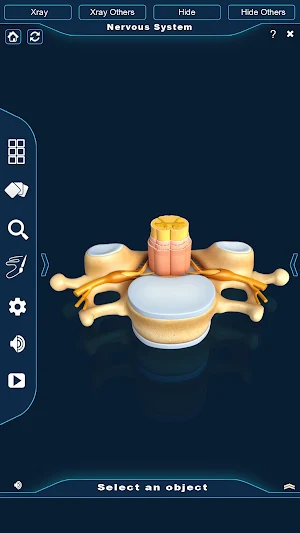 Nervous System Anatomy Pro. Screenshot 3