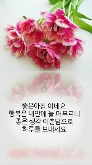 2023좋은 아침 Screenshot 1