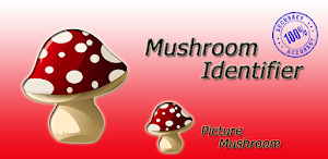 Mushroom identifier Screenshot 0