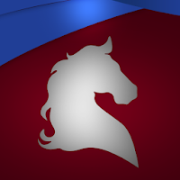 Healthy Horse - Determining a horse’s body weight