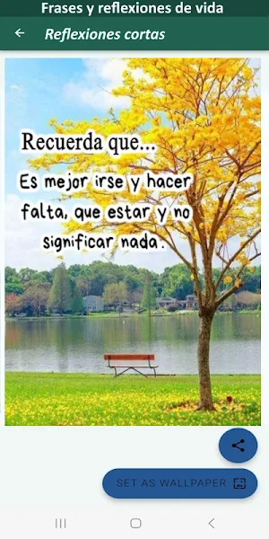 Frases y reflexiones de vida Screenshot 0