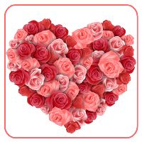 Flowers Stickers For WhatsApp