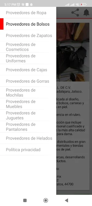 Proveedores Mayoristas México Screenshot 2