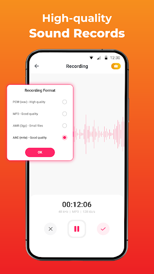 Voice Recorder: Voice Notes Screenshot 3
