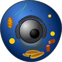 Cell type