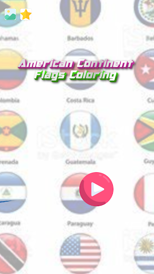 color Flag Americas Screenshot 2