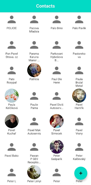 Contact Groups Screenshot 1