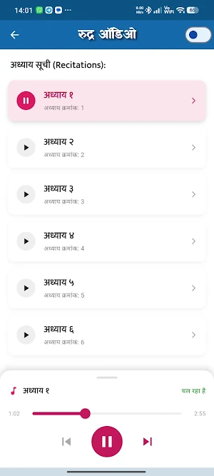रुद्राष्टाध्यायी - Rudri Path Screenshot 3