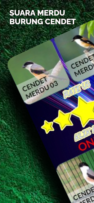 Suara Burung Cendet Screenshot 0
