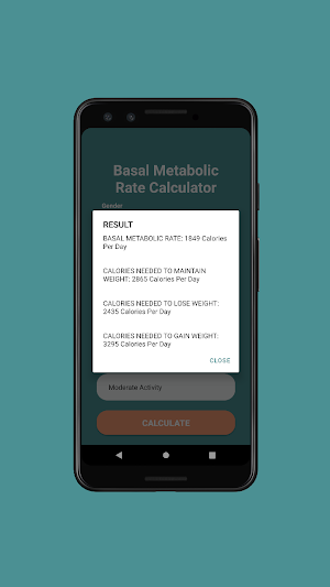 BMR Calculator Screenshot 2