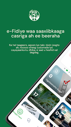 Efidiye Screenshot 0