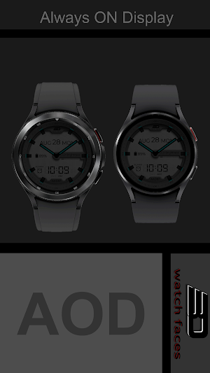 aad87l Silver Screenshot 2