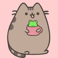 Pusheen Cat 4K Wallpaper