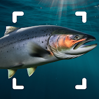 Fish Identifier: - Scanner