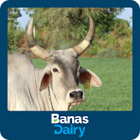 Banas Farmer