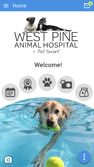 West Pine Animal Hospital Screenshot 0