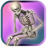 Skeleton View - 3d