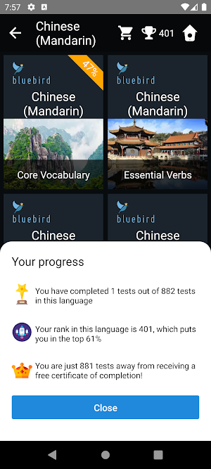 Mandarin Chinese Language Test Screenshot 2