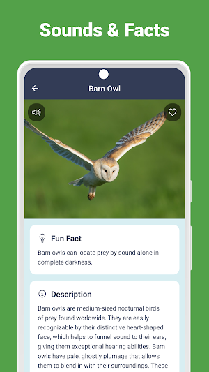Animal Sounds Screenshot 2