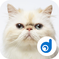 Cat Sounds